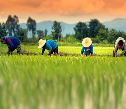 DJI Academy KUNG MAGIC